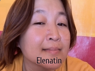 Elenatin