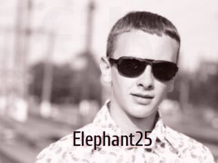 Elephant25