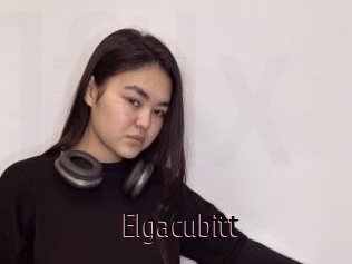 Elgacubitt