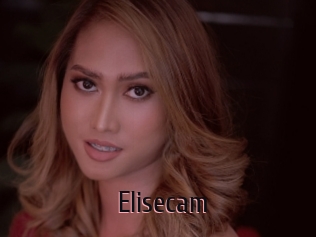 Elisecam