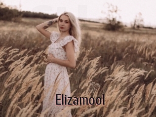 Elizamool