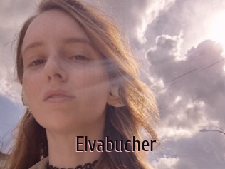 Elvabucher