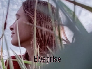 Elvagrise