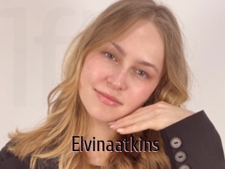 Elvinaatkins