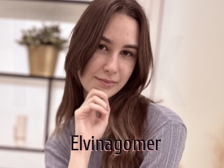 Elvinagomer