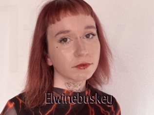 Elwinebuskey