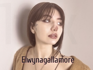 Elwynagallamore
