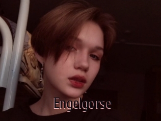 Engelgorse