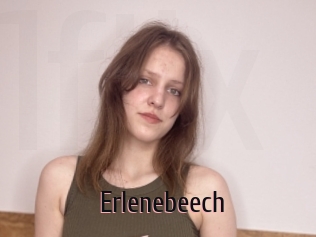 Erlenebeech