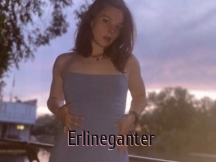 Erlineganter