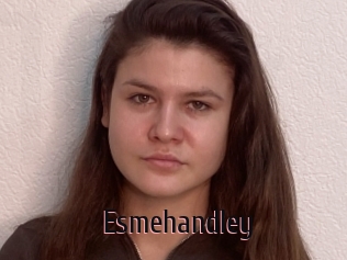 Esmehandley