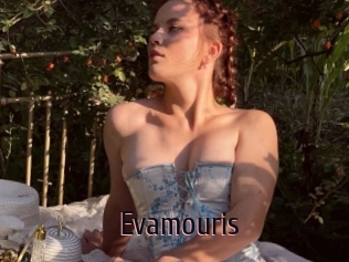 Evamouris