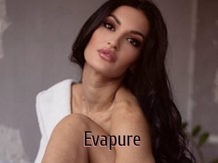 Evapure