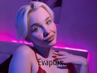 Evapurr