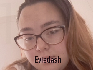 Eviedash