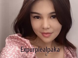 Expurplealpaka