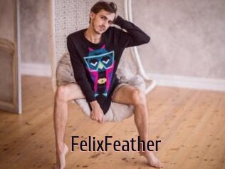 FelixFeather
