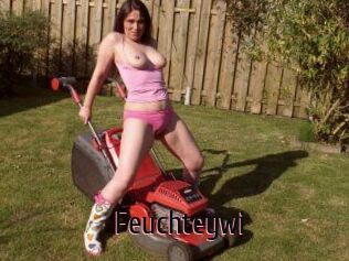 Feuchteywi