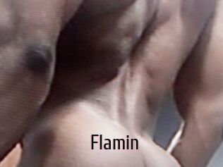 Flamin