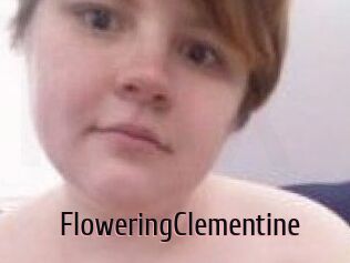 FloweringClementine
