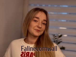Falinecornwall
