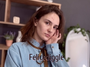 Felicediggle