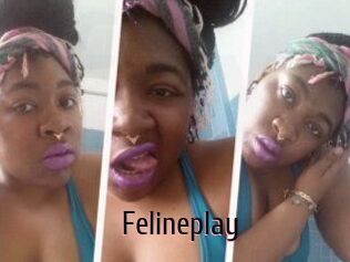 Felineplay