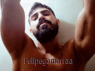 Felipegamarraa