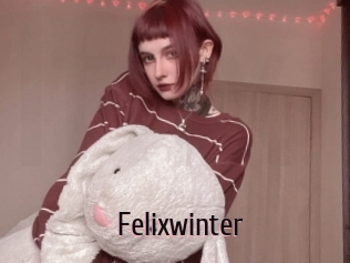 Felixwinter