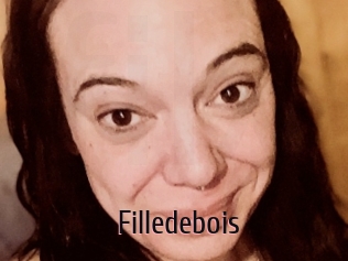 Filledebois