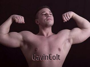 GavinColt