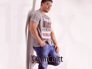 GavinColtt