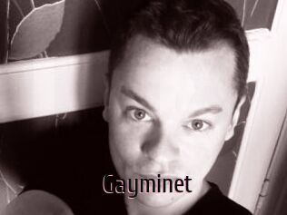 Gayminet