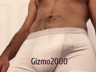 Gizmo2000
