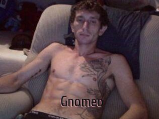 Gnomeo