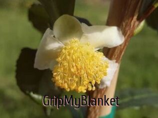 GripMyBlanket