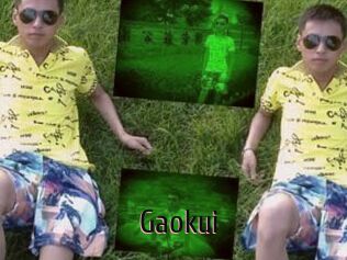 Gaokui