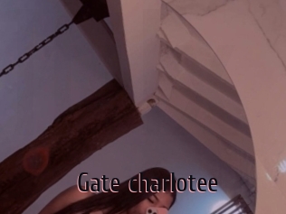 Gate_charlotee