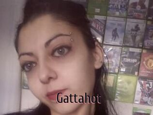 Gattahot