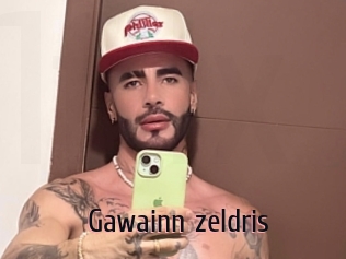 Gawainn_zeldris