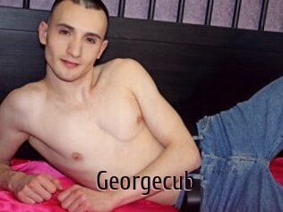 georgecub 1 film x