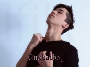 Ginobadboy