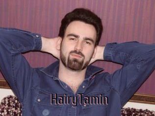 HairyTamin