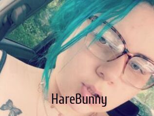 HareBunny