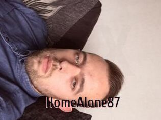 HomeAlone87