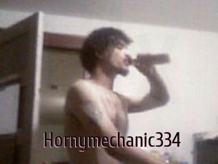Hornymechanic334