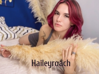 Haileyroach
