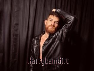 Harrybsmdirt