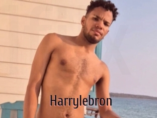 Harrylebron