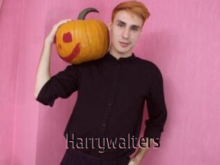 Harrywalters